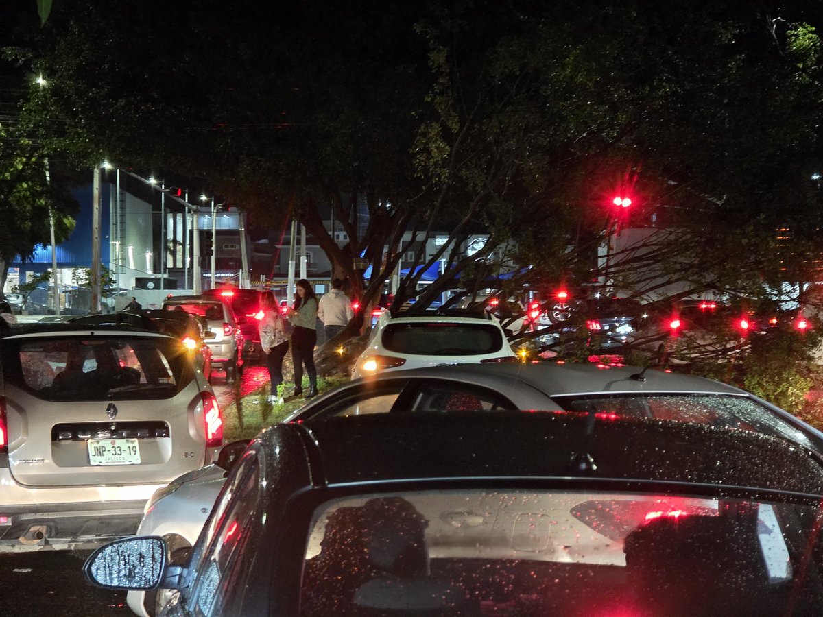 alejandro_gdl69's tweet photo. @Trafico_ZMG Por la Lluvia, arbol caido en calle Arco de la Estrella esquina con Juan Gil Preciado. En sentido a Walmart la Cima. Van llegando los bomberos. https://t.co/FwBMAQWZkd