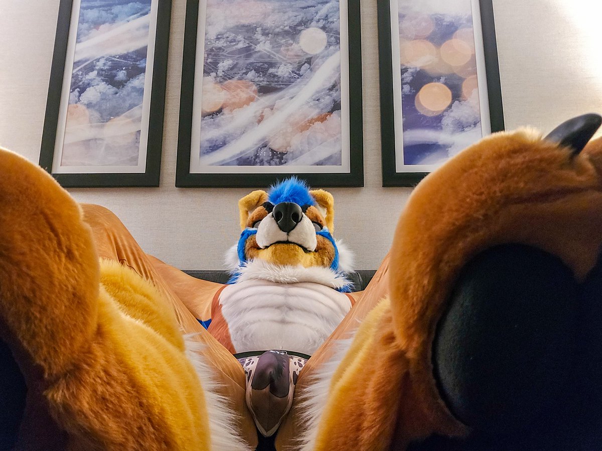 Aussie Bulge tweet media