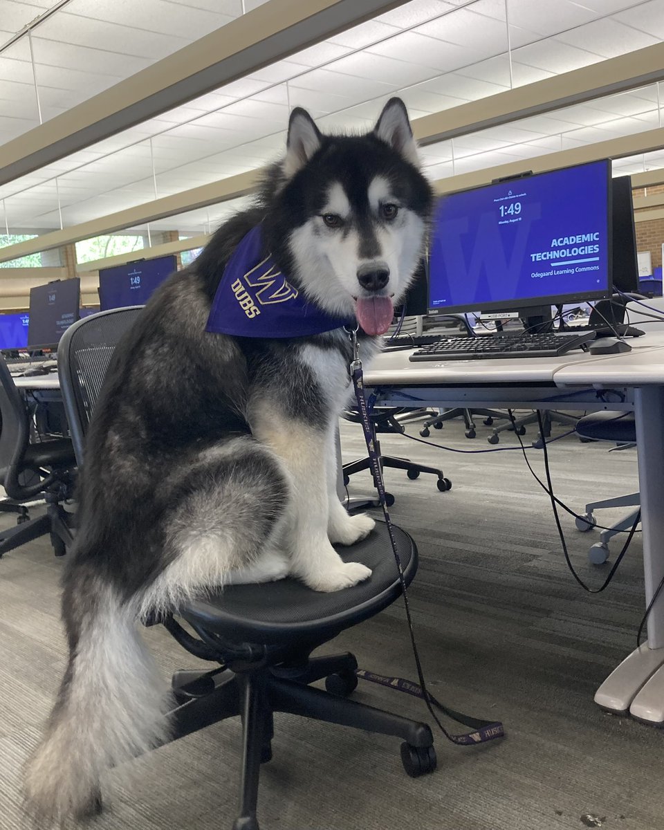 finals can be ruff but i’m proud of u