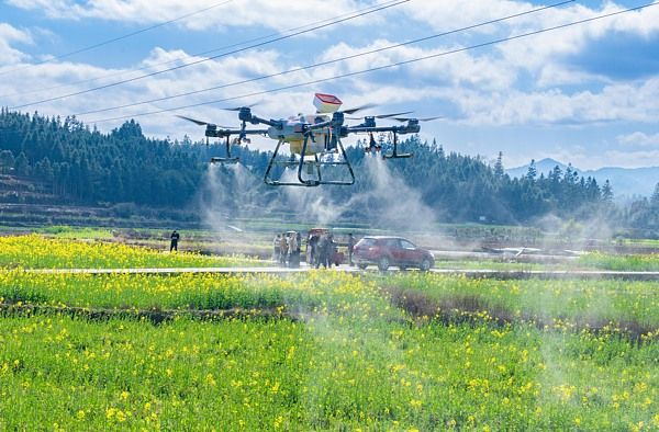 China has recently launched its first large AI model dedicated to monitoring and protecting high-standard farmland, aiming to upgrade the country's farmland management from quantity-focused preservation to quality improvement.

The system integrates a central foundation model