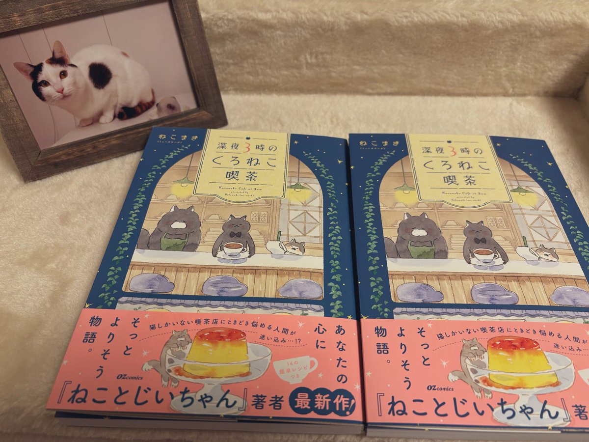 ねこまき倉庫 (@nyanta_mikan) / Posts / X