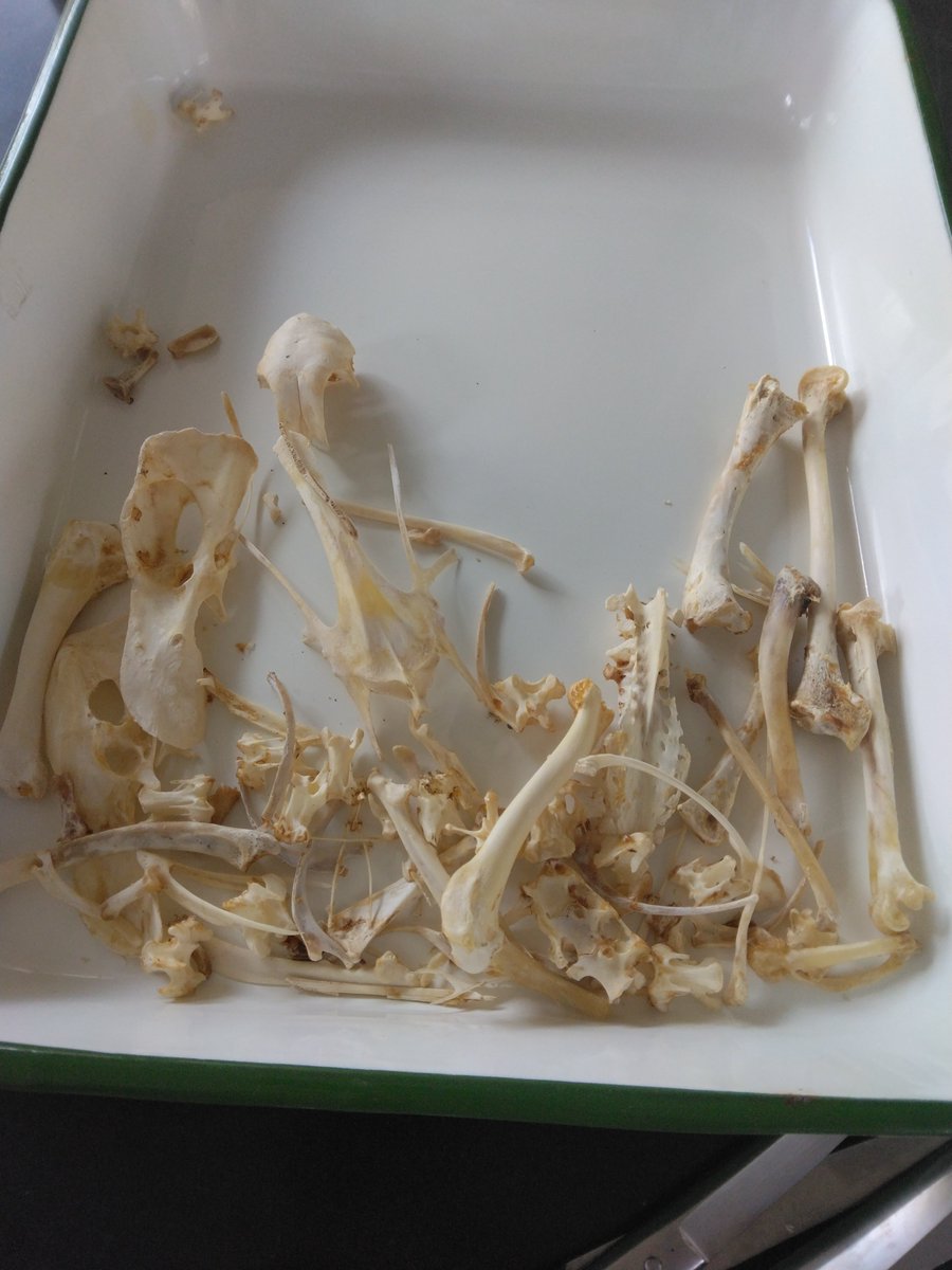 manta様用です¨*•.¸♬︎ Manta (@manta_zoukei) / Posts / X