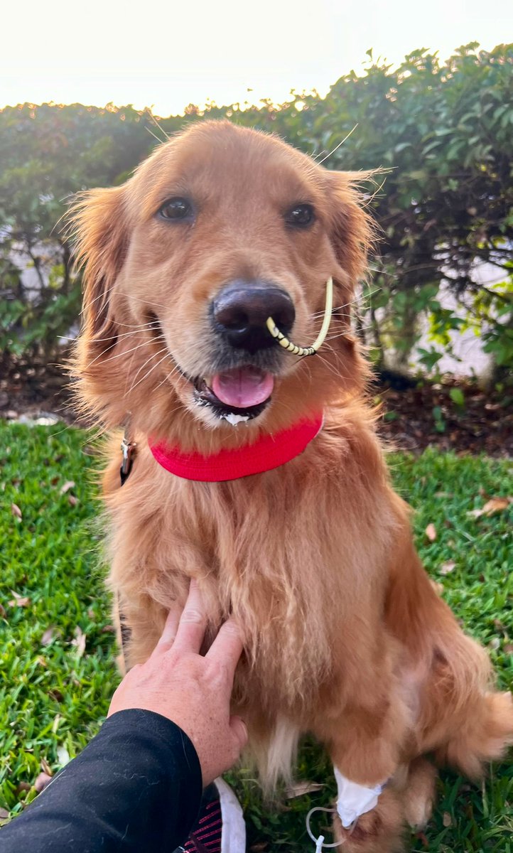 Beth Ann Nichols tweet media