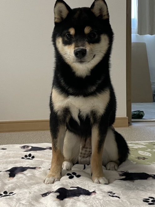 自らがプリントされたブラケットお気に入りの様子