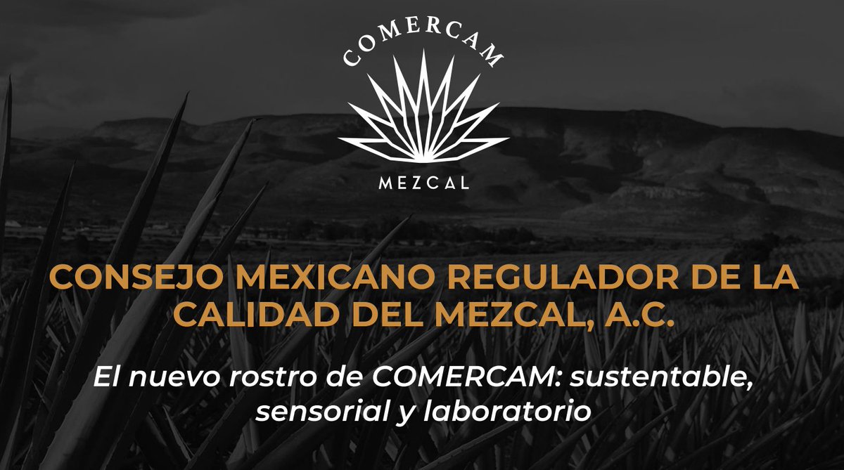 IPIDEC's tweet image. Hoy en nuestro Diplomado, contamos con la participación de Abelino Cohetero, Presidente de la COMERCAM, autoridad responsable de certificar y garantizar la autenticidad del mezcal, una de las denominaciones de origen más emblemáticas de nuestro país.