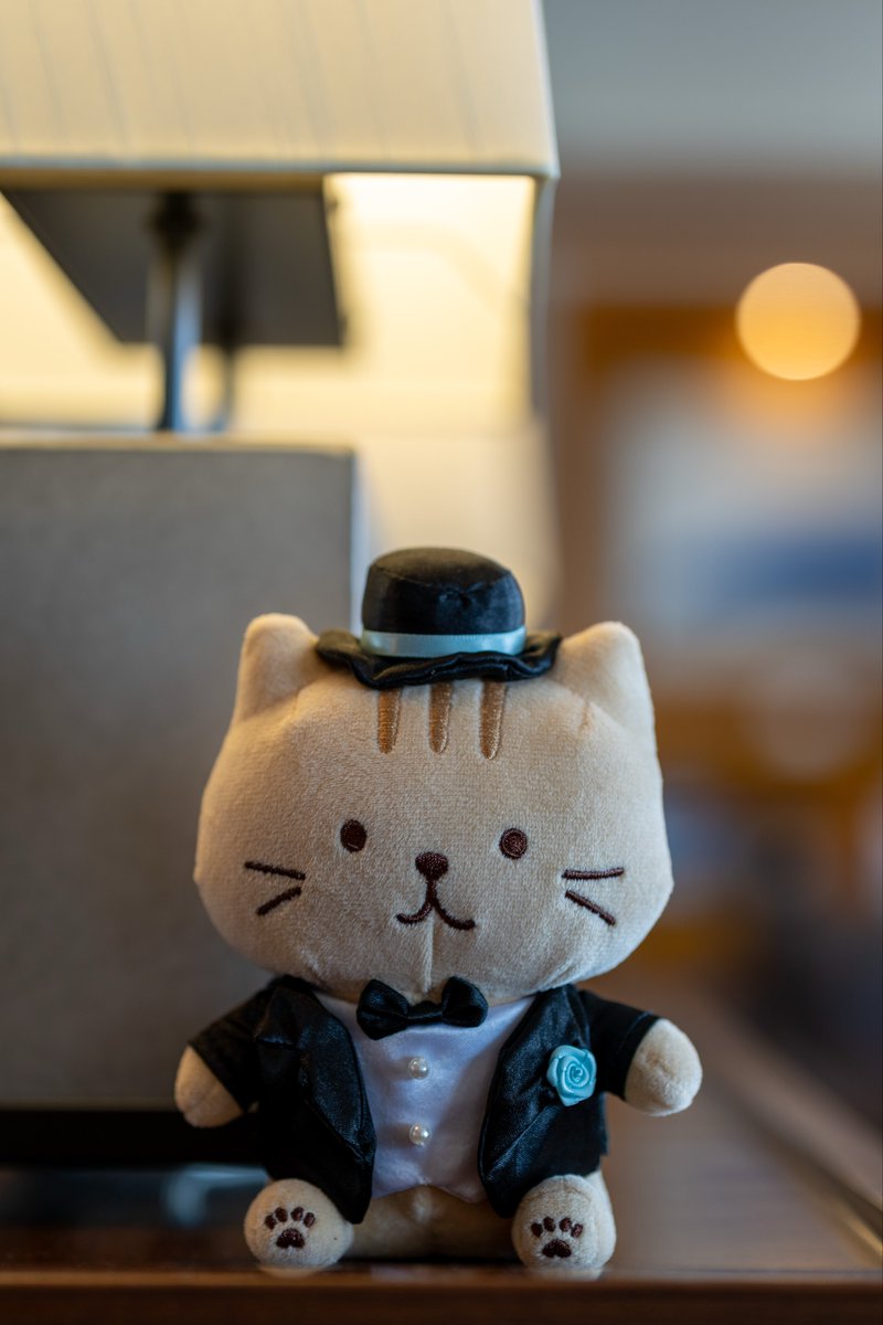 ホテルステイ中のチャチャ丸さん。
#ふくふくにゃんこ
#ふくにゃんファンブック