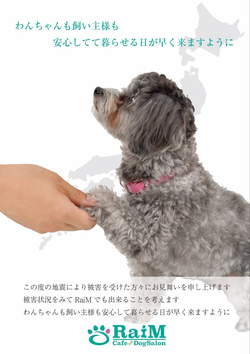 この度の地震により被害を受けた方々にお見舞いを申し上げます
被害状況をみてRaiMでも出来ることを考えます
わんちゃんも飼い主様も安心して暮らせる日が早く来ますように