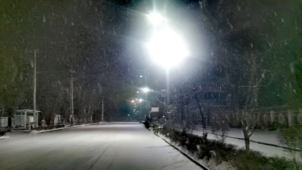 Abstract（互fo） tweet media