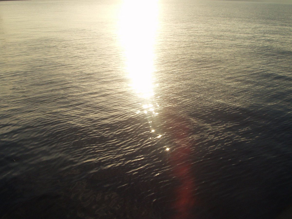 ca (@cltarv) on Twitter photo 