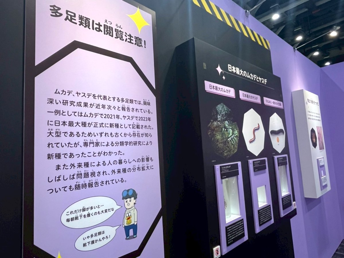 ど根性ガエル【公式】／ ど根性カンパニー (@dokonjo_company) / Posts / X