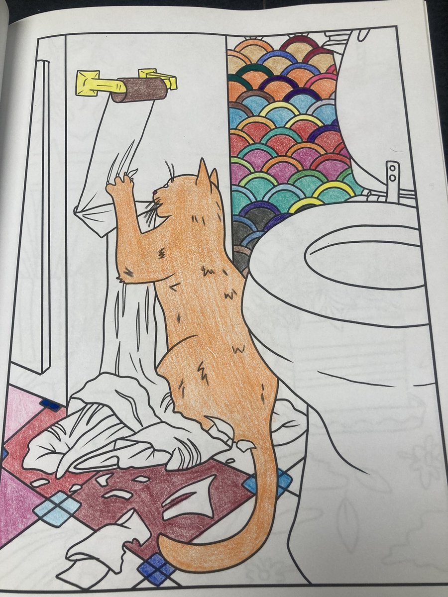 😳 It’s 15* outside n gonna drop lower tonight 🥶 At least there’s no wind. It’s cold but bearable. Well to me anyway 😅 Many layers on. Work is slow so I colored a bad Orange tearing up toilet paper in a brightly colored room 😹 Almost done at work then homeward bound 🏠