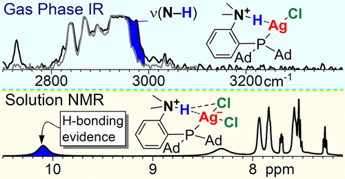 bhkenlo's tweet photo. Can Silver(I) Act as a Hydrogen-Bond Acceptor? Spectroscopic and Computational Exploration of the Ag···H+ Bonds in the Gas Phase and in Solvent | Inorganic Chemistry https://t.co/4BfZSoQZk7 Andris and co-workers @InorgChem #silver #H_bond #acceptor #IR #QC #CCSDT https://t.co/uBKBr8S8fK