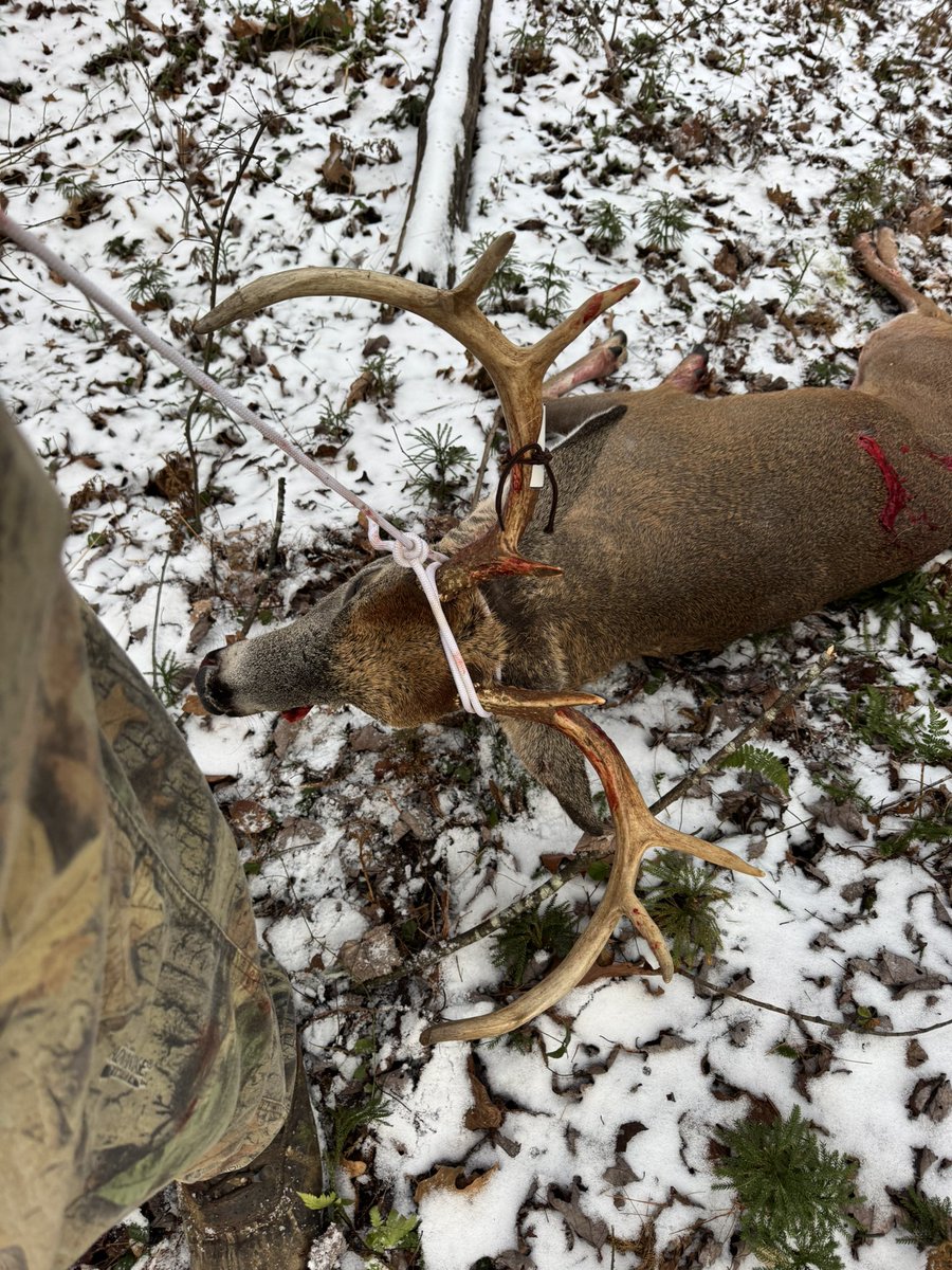 gbpbob13 tweet media