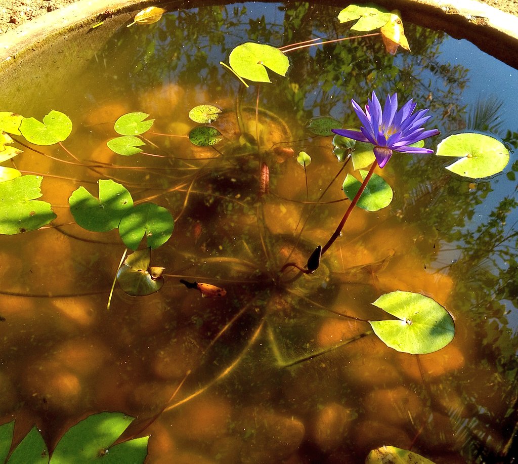 Ms. Charlie tweet media