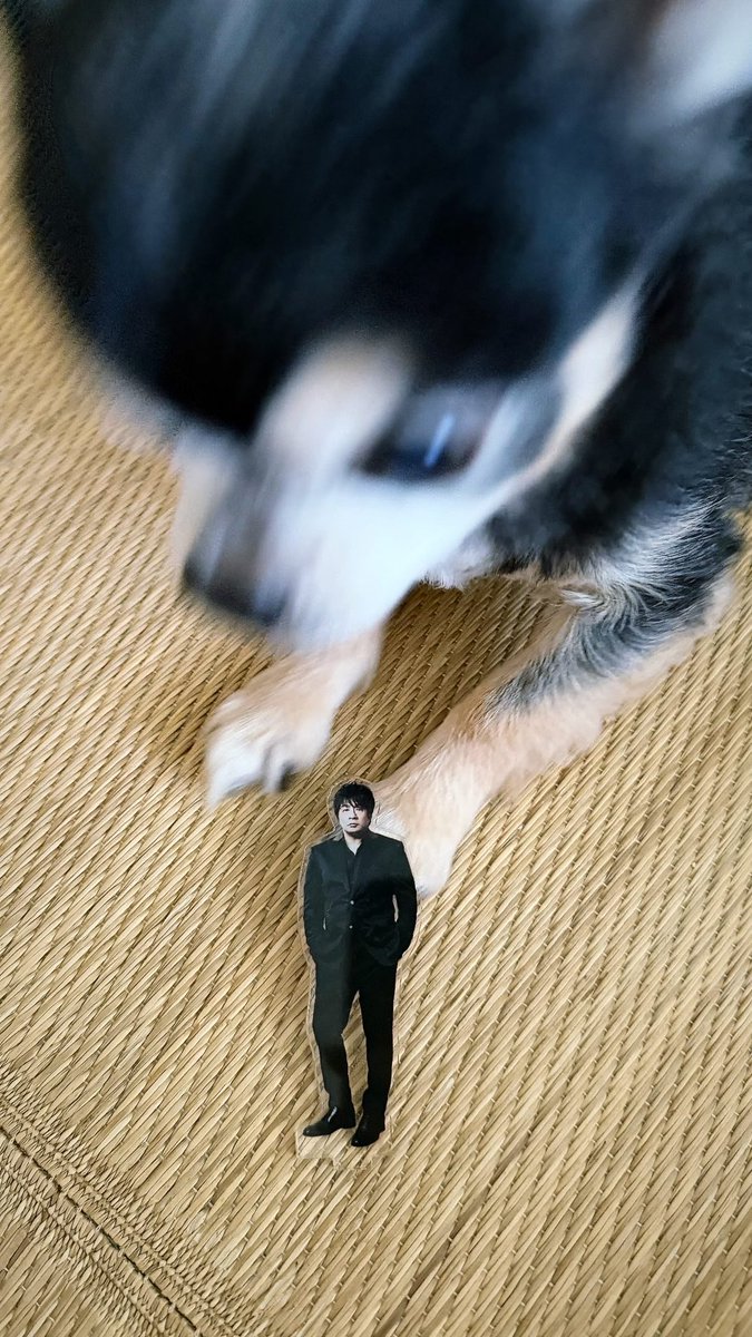 飛行機欠航で延泊福岡から無事帰宅🙏

#ASKA さん
#ディナーショー
#グランドハイアット福岡
#Fellows
