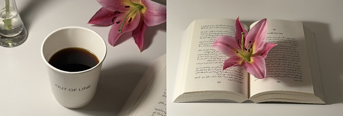 غيداء tweet media