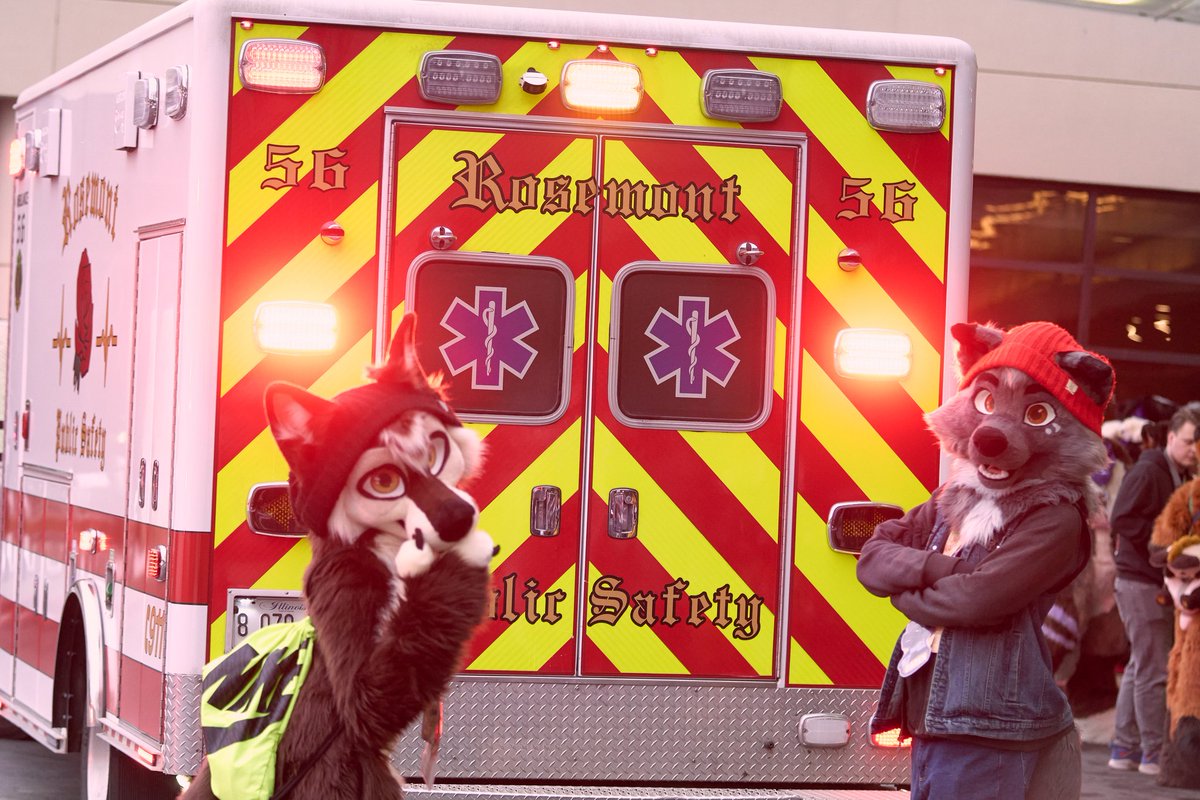 NOTHING BEATS A JET 2 HOLIDAY.

🧵: <a href="/StuffedTailsFur/">StuffedTailsFursuits |STF|</a> <a href="/TheGoldenMaw/">Golden Maw</a>
🦊: <a href="/GarenTheFox/">Garen @ MFF/NFC</a>
📸: <a href="/aeonx_LR/">Aeon➡️MFF</a>