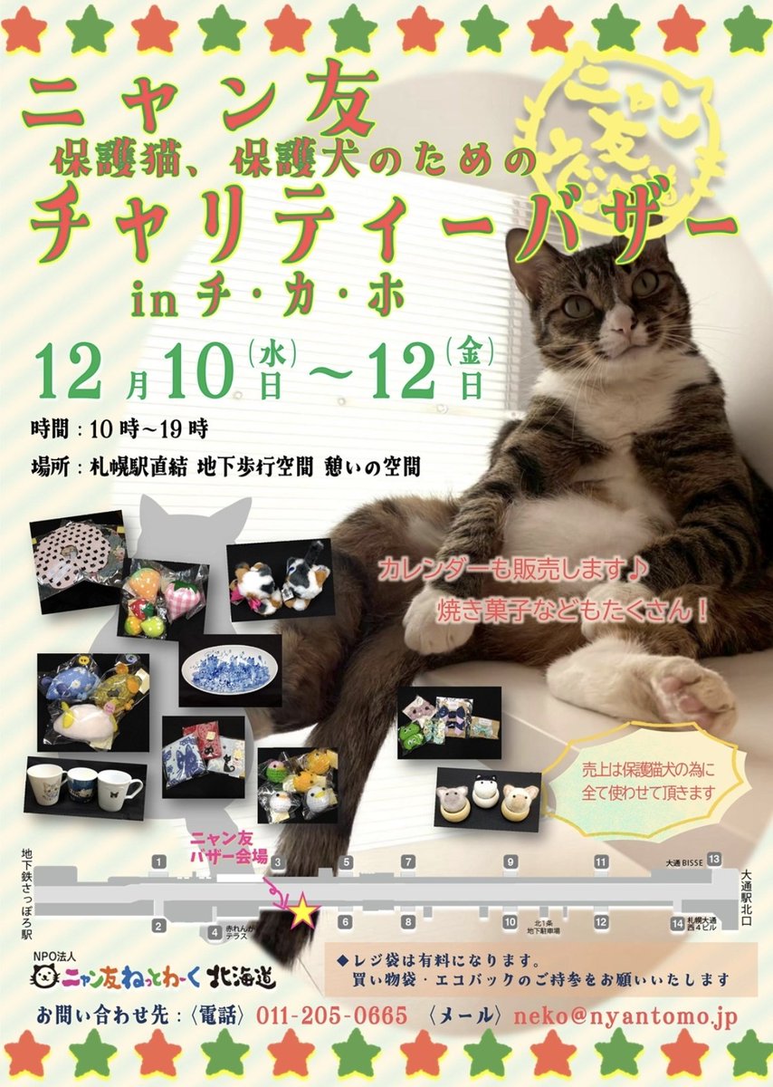 にゃん友 喜多見 光 – ニャン友ねっとわーく北海道