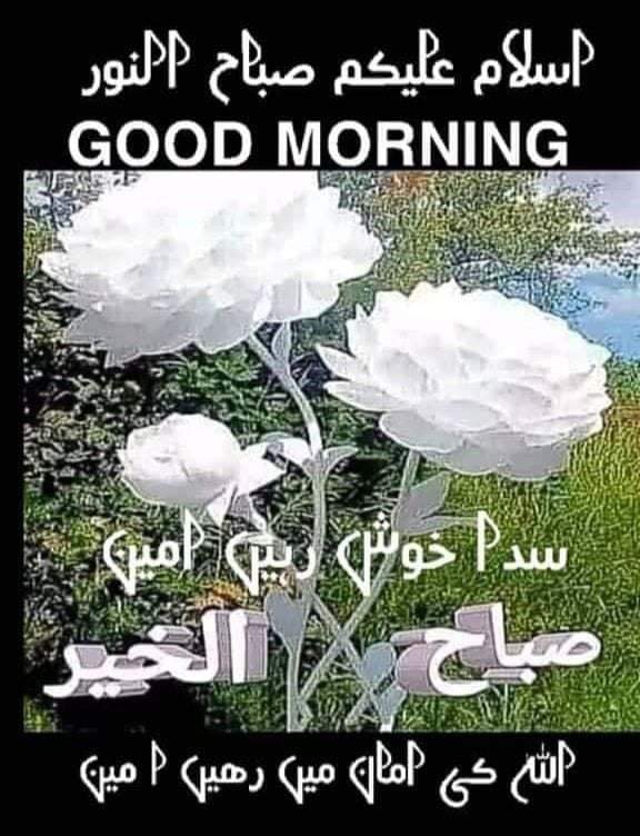 Riaz Hussain tweet media