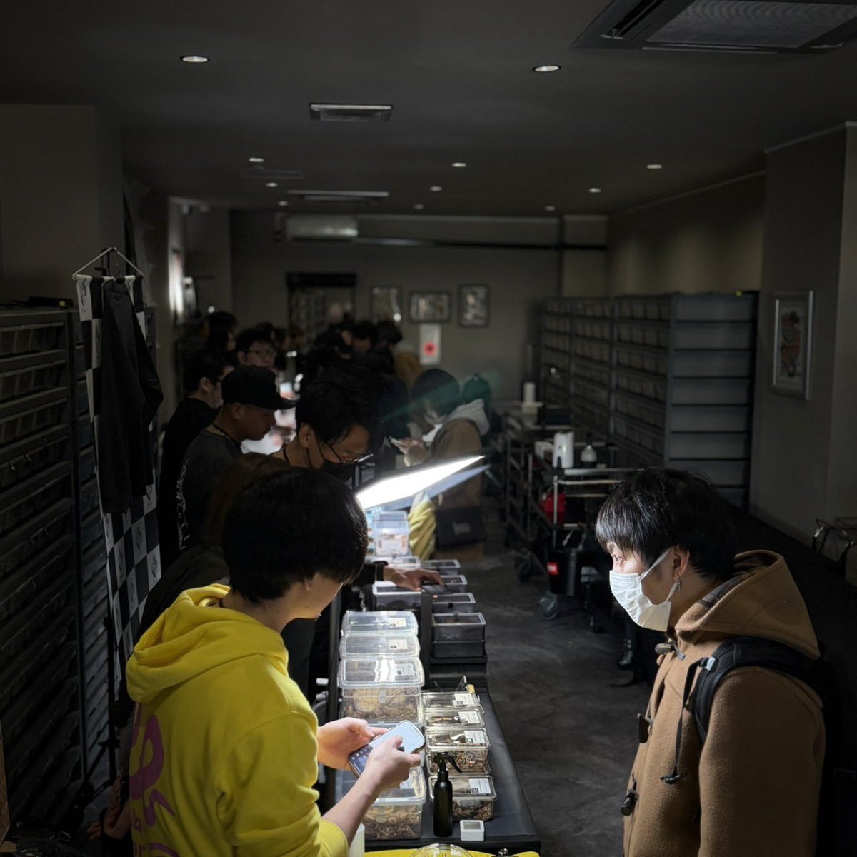 ゆってぃ🌈Rainbow Color Ballpython🌈 tweet media