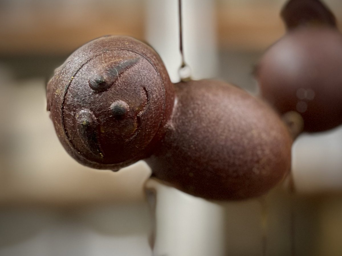 ぼくドラえも…違