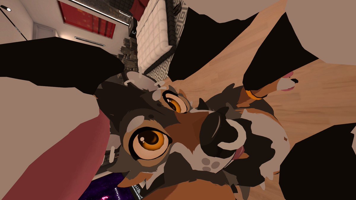 BullDoggy tweet media