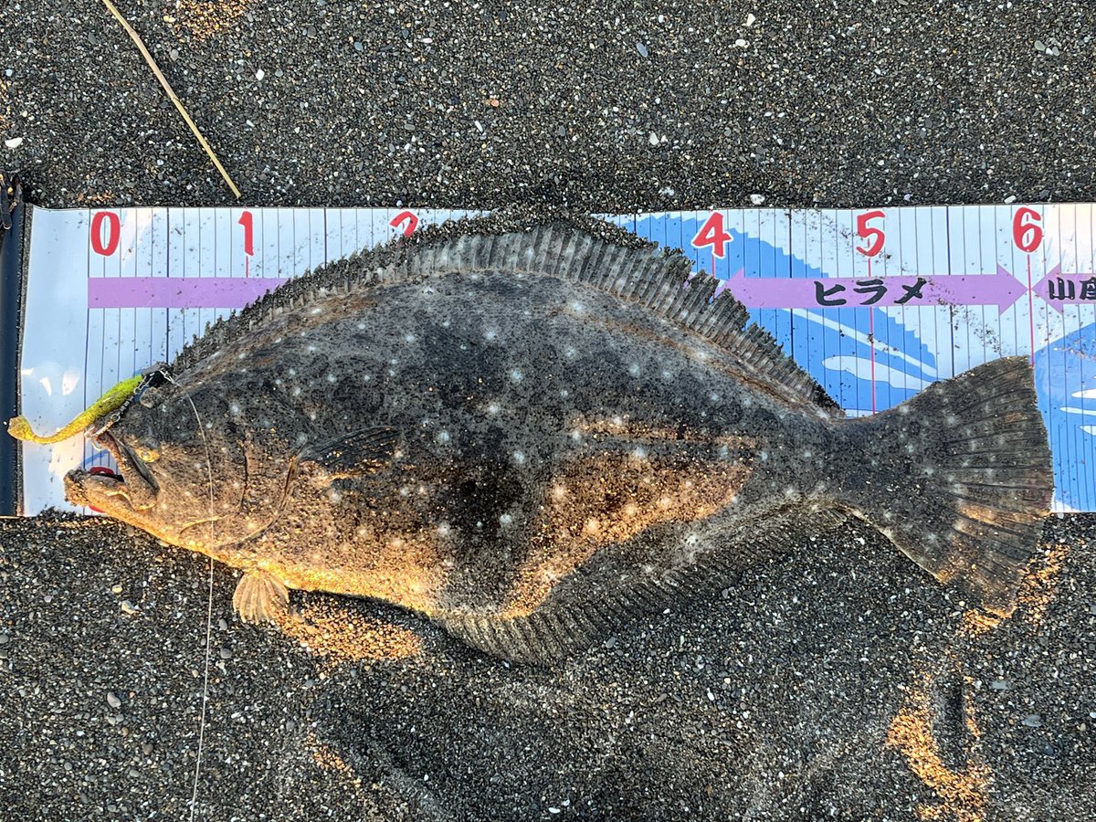 munezou (@MUNEZOU19XX) / Posts and Replies / X