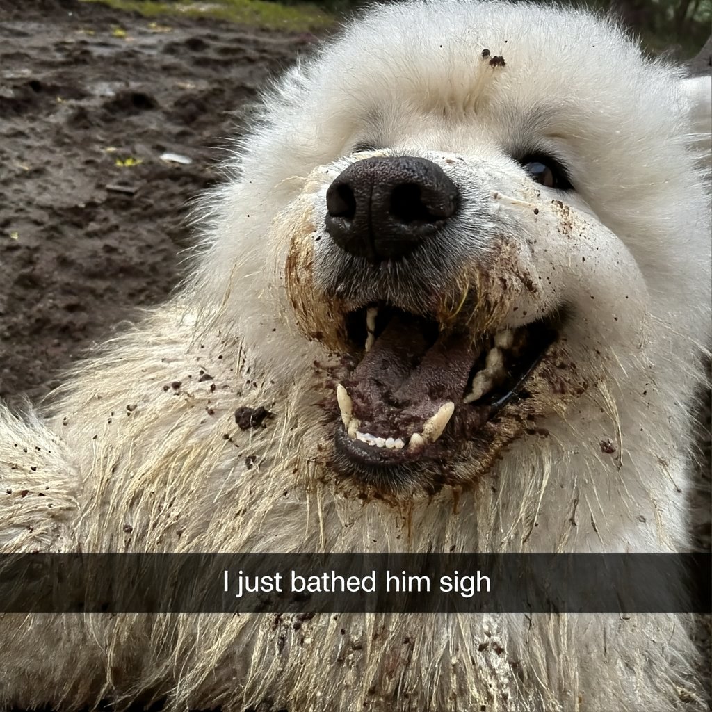 chroma-radiance-x0 result
a true pixel space model combining JiT-x0 loss and pixnerd

give it a go!
github.com/comfyanonymous…
huggingface.co/lodestones/Chr…