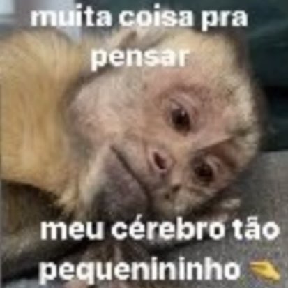 Me encontro exatamente assim