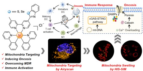 Gasser Group tweet media
