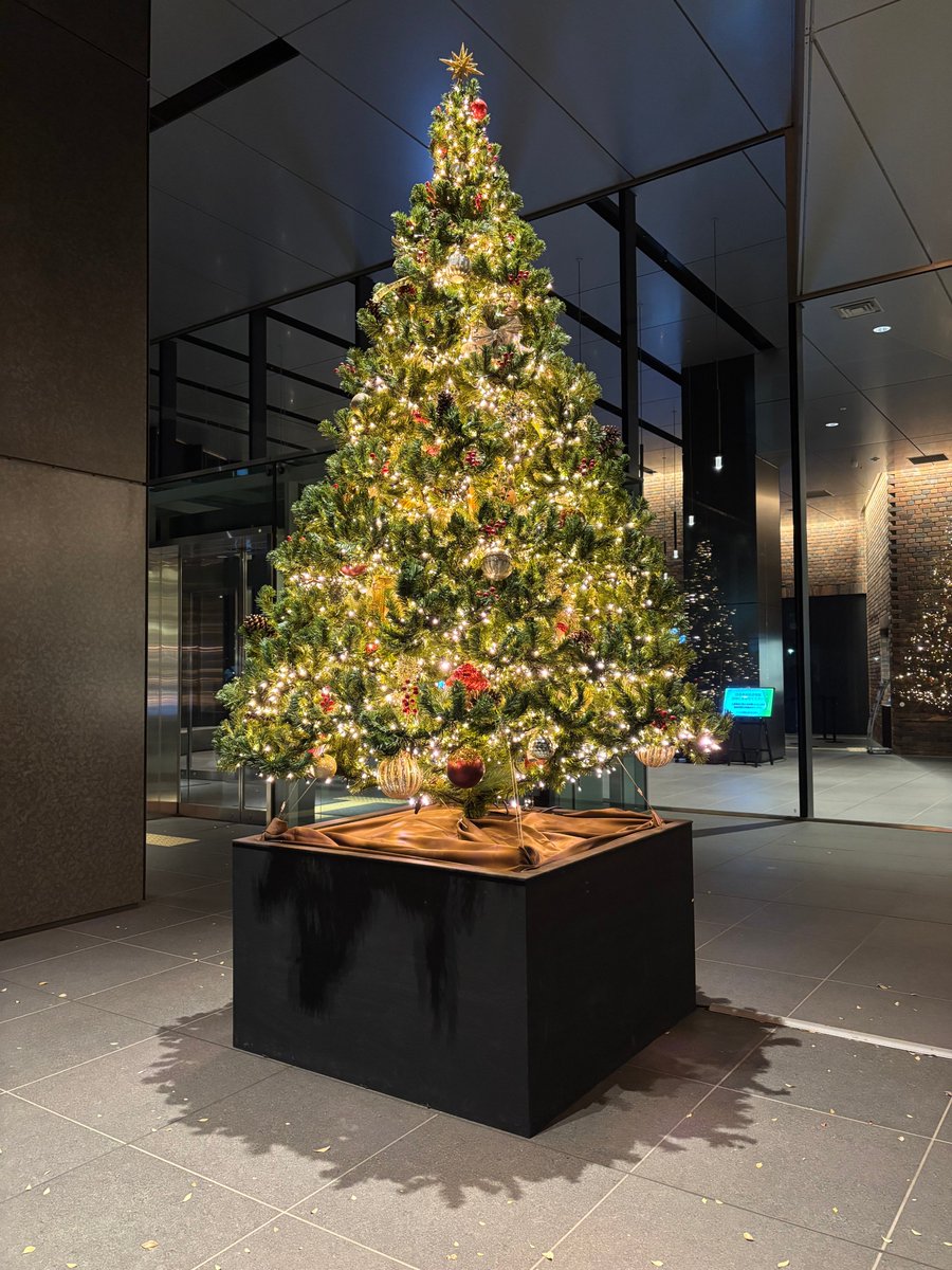 関内キャンパス玄関のツリーが冬の夜にやさしい光を灯しています🎄関内図書室では、クリスマスにまつわる本を展示中。アドヴェントやツリーの起源を辿れば、その光に込められた 意味をより深く感じられるかもしれません✨ https://t.co/7woJblNQU8