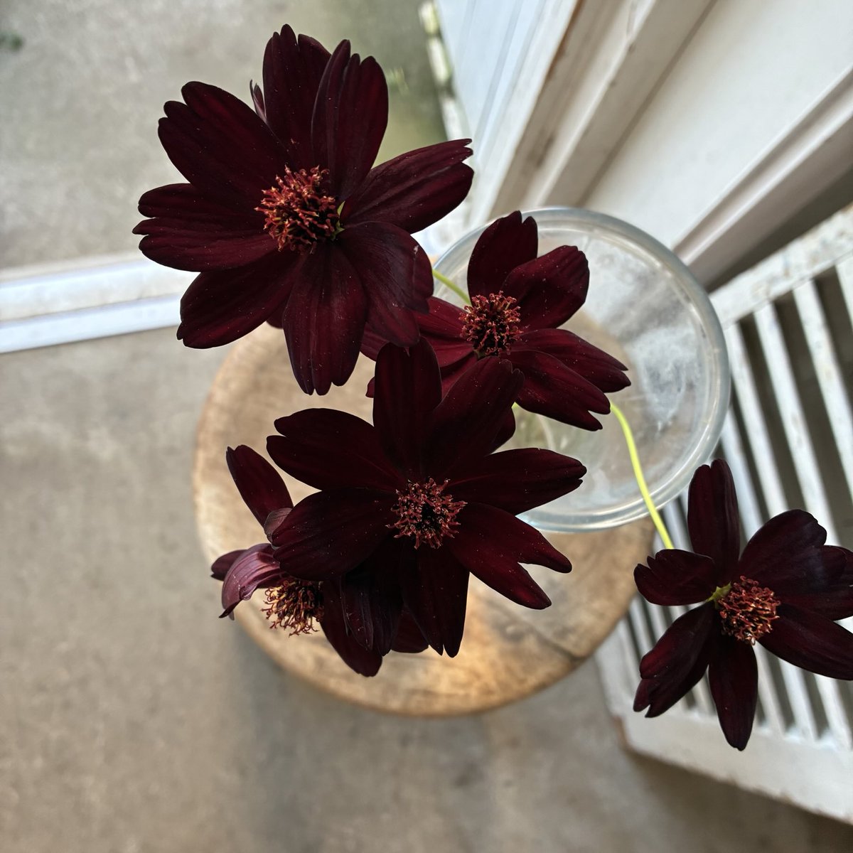 まりのすけ。 (@marinosuke_1984) / Posts / X