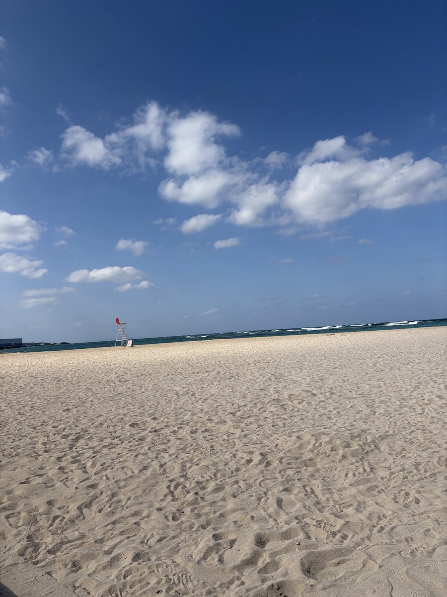 山本空良（公式） tweet media