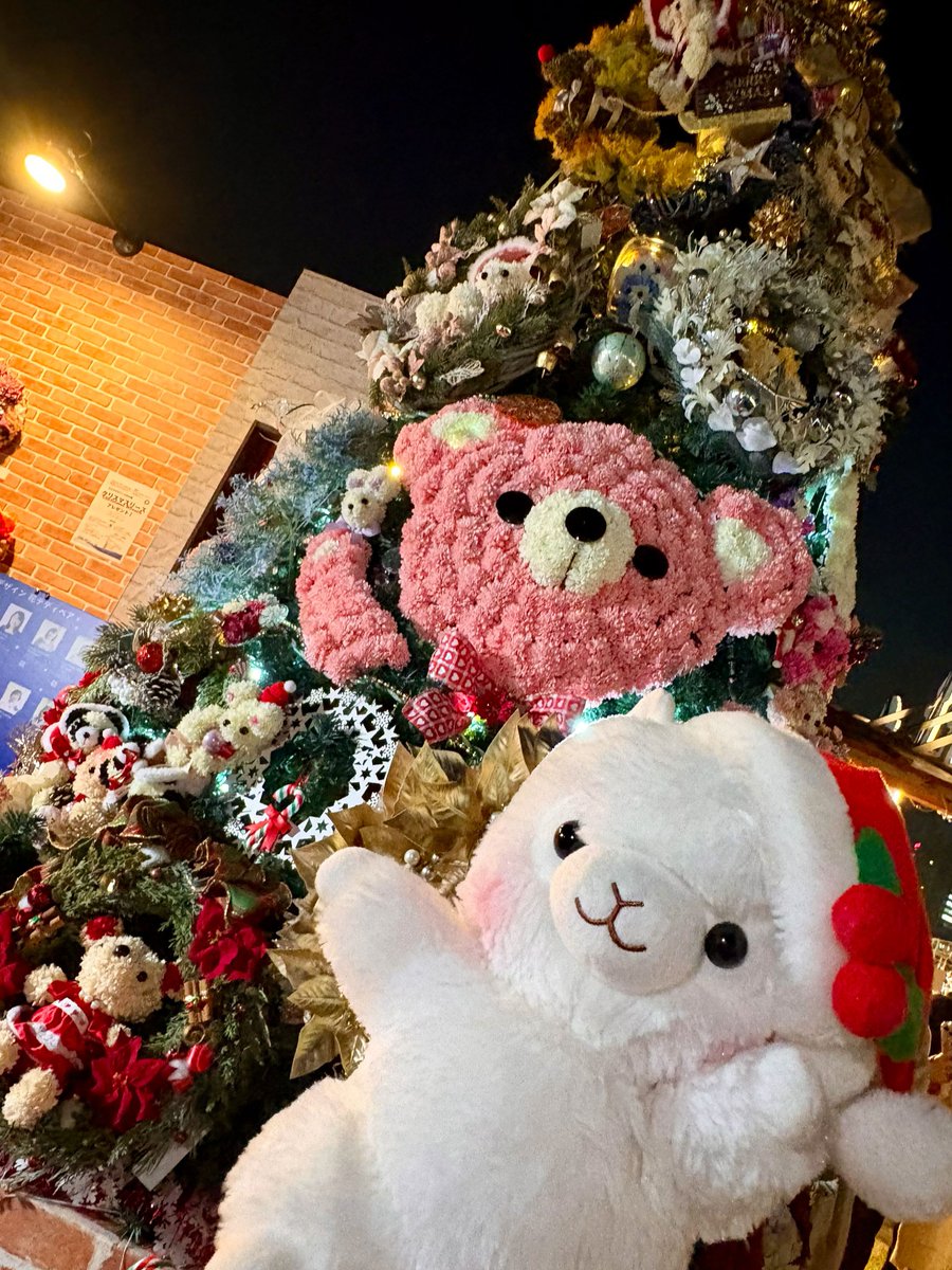 アミューズ AMUFUN【公式】 (@AMUSE_japan) / Posts / X