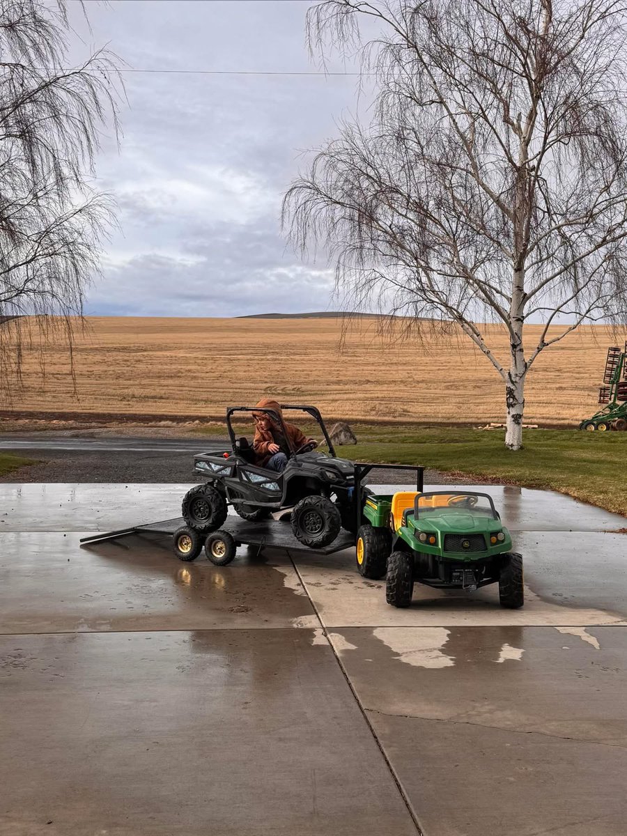 Devin Moon tweet media