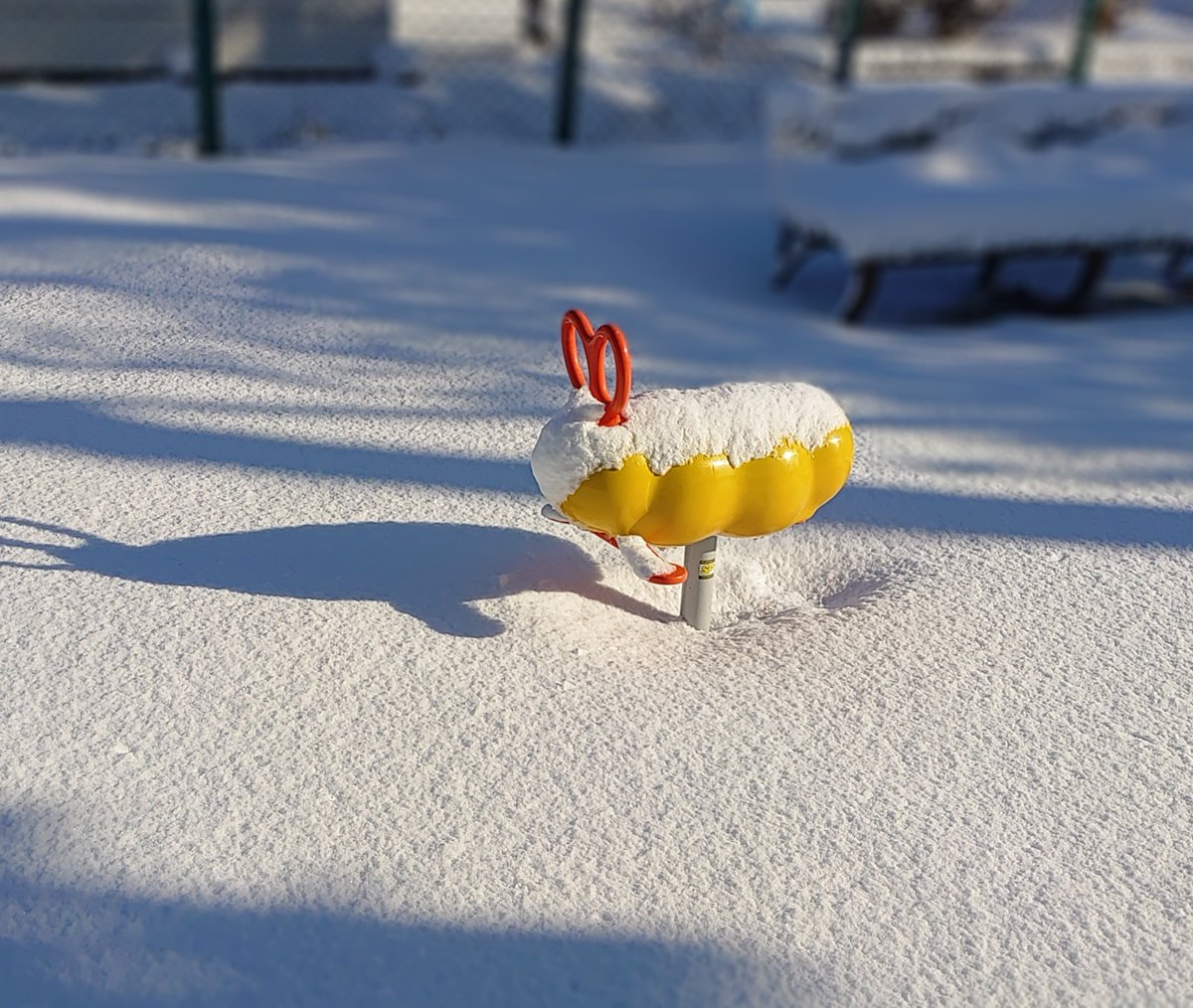 今年は秋から冬が穏やかで食べ物がうまい🍤