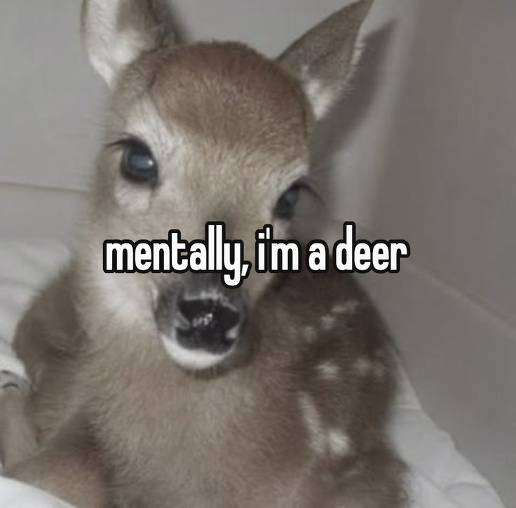 i'm a deer physically too