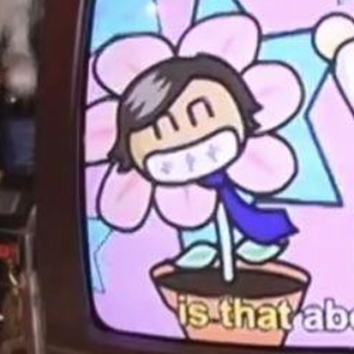 tallyrandomness's tweet photo. Zubin Flower attacks! https://t.co/FSlhyHmWD1