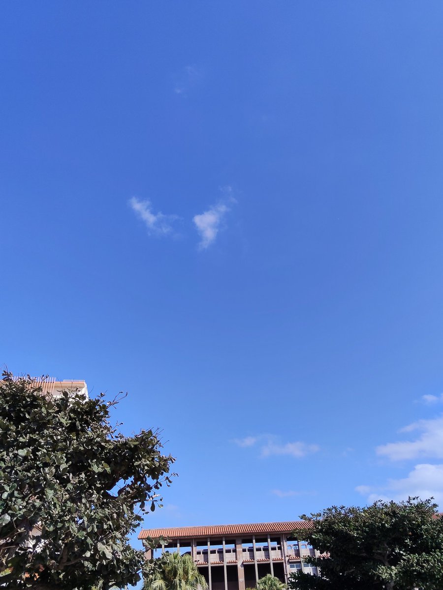 Direct_DR's tweet image. 今日も暑くなりそう🥵

来週から寒くなる予報みたいなので、そろそろ衣替えかな😊