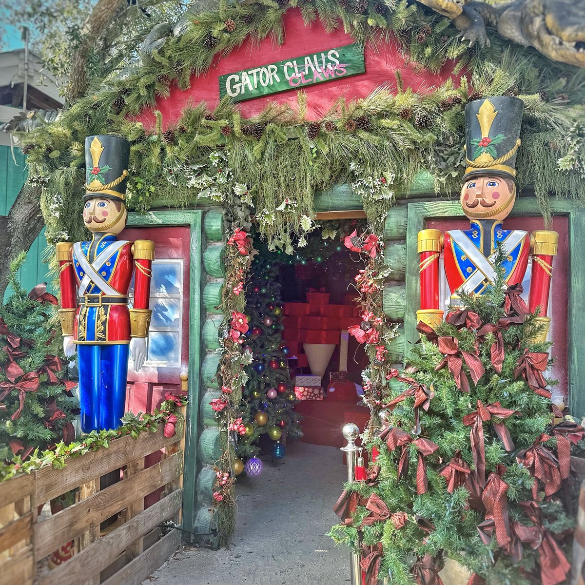 TuckBeck's tweet photo. Are you Team Krampus Croc? Or Team Gator Claus!!! No matter which team you are, you can meet them BOTH at @Gatorland Holiday Ho Ho Ho-Down this year! 🎄🐊🎄
.
#GatorlandBlogger #Gatorland
#GatorlandHolidayHoHoHoDown
#Christmas #HolidayHoHoHoDown
#KrampusCroc #GatorClaus ���🏻 https://t.co/6J3DMTgIr7