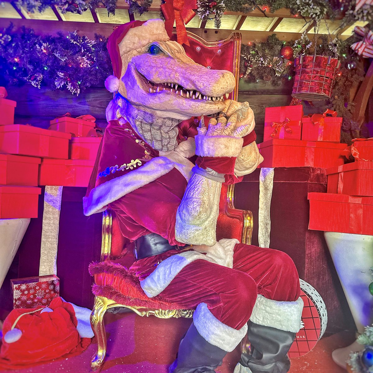 TuckBeck's tweet photo. Are you Team Krampus Croc? Or Team Gator Claus!!! No matter which team you are, you can meet them BOTH at @Gatorland Holiday Ho Ho Ho-Down this year! 🎄🐊🎄
.
#GatorlandBlogger #Gatorland
#GatorlandHolidayHoHoHoDown
#Christmas #HolidayHoHoHoDown
#KrampusCroc #GatorClaus ���🏻 https://t.co/6J3DMTgIr7