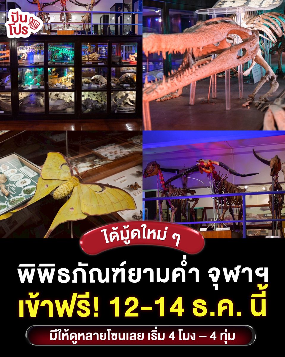 punpromotion's tweet image. 🤩 ไปหาอะไรใหม่ ๆ ทำกัน~ “พิพิธภัณฑ์ยามค่ำคืน จุฬาฯ 2025” สำรวจ “เมือง” ผ่านมุมมองวิทยาศาสตร์ และปีนี้เค้าเปิดทั้ง 4 พิพิธภัณฑ์ + ภาควิชาต่าง ๆ ให้เดินดูยามค่ำ เข้าฟรีนะ