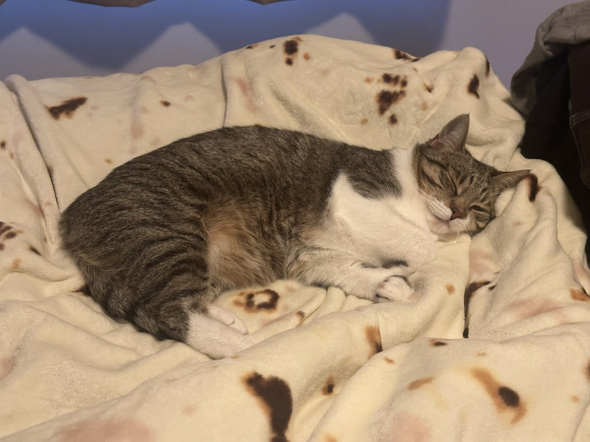 london dry gin tweet media