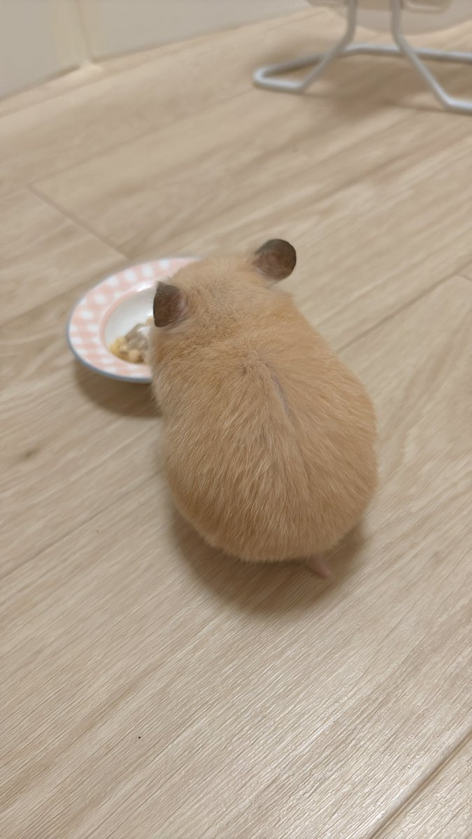 141.2gまで戻りさらに愛おしい背中
チャック付いてる？