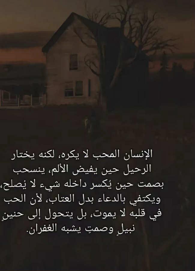 badralldein117's tweet image. 