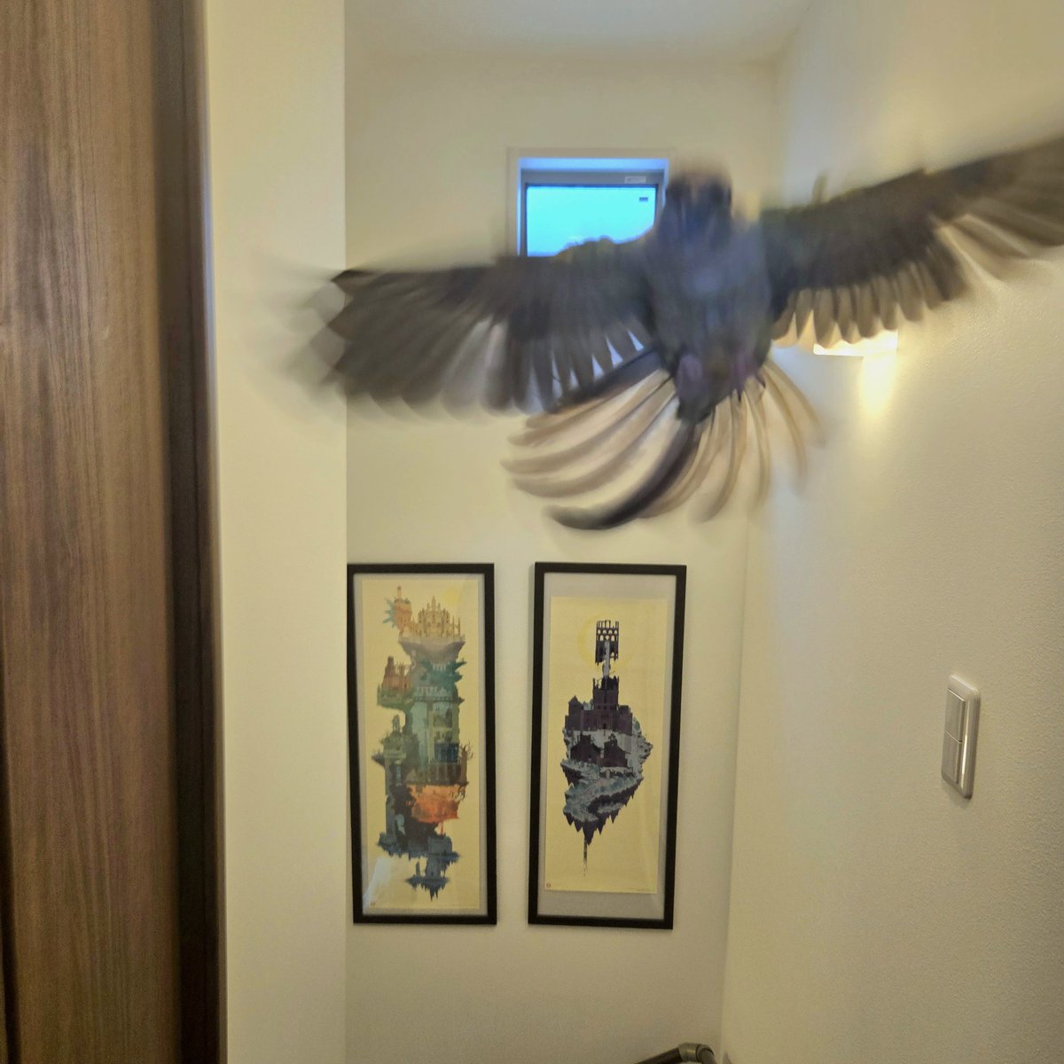 namoji白鳥 (@77mgu_namoji) on X