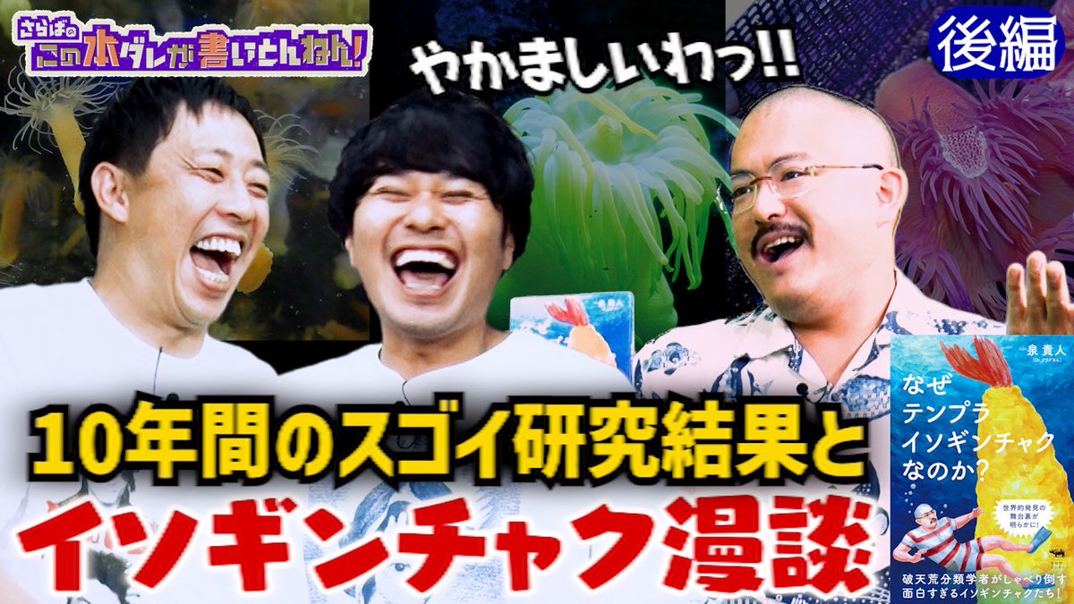 saraba_hondare's tweet photo. #本ダレ 《YouTube 20:00更新》
イソギンチャク研究の第一人者である著者の10年間の軌跡を記した一冊！クセ強学者さんが登場します🍤
《前編》https://t.co/pl9ERvcgSS
《後編》https://t.co/44zSFhzsgY
　（※URLは午後8時から有効）

ご興味ある方は是非ご覧ください！！
#さらば青春の光 #さらば https://t.co/78mNnuUm53