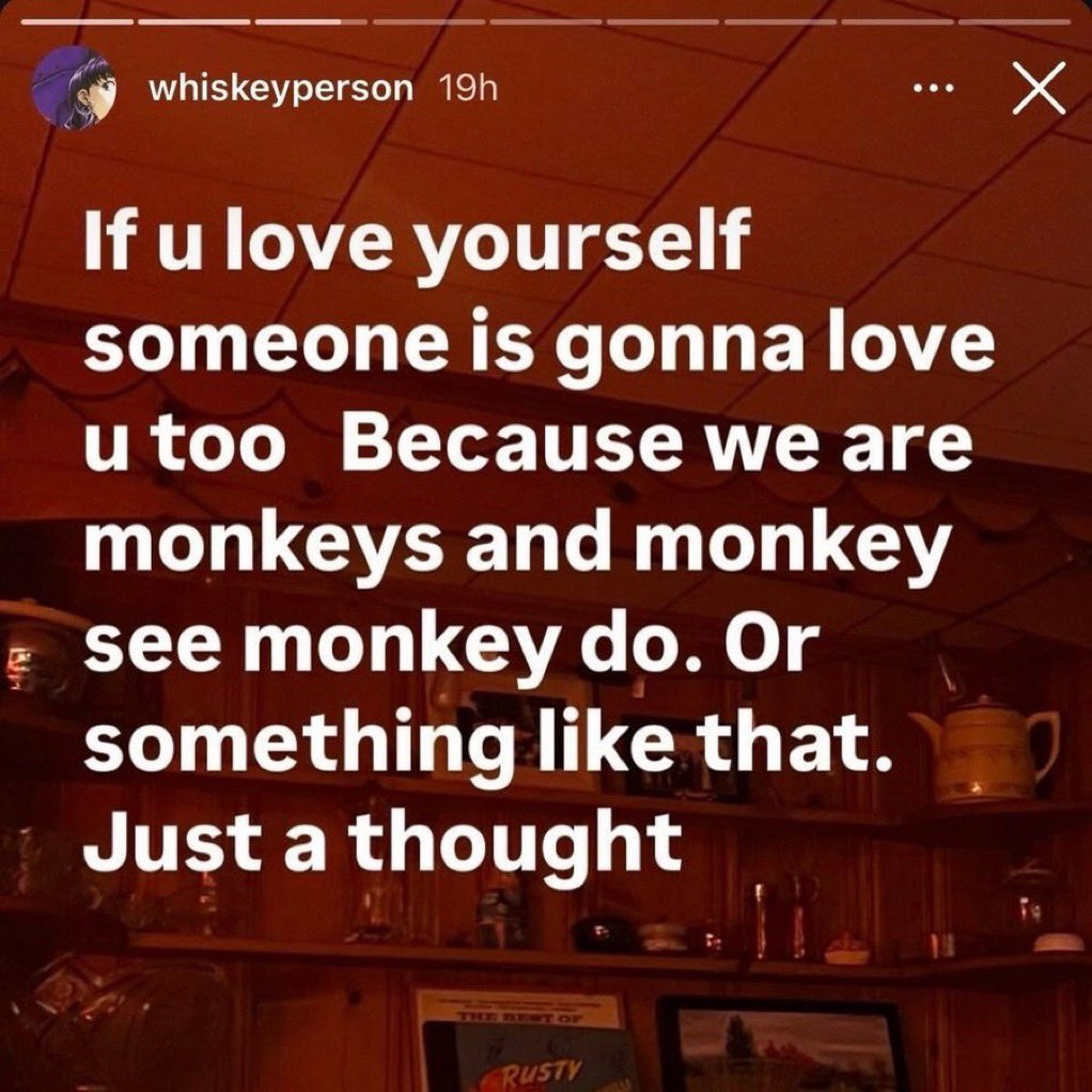 whotfisjovana's tweet image. monkey see monkey do