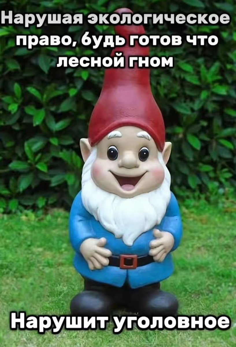 максим. (@maksimkolc) on Twitter photo 