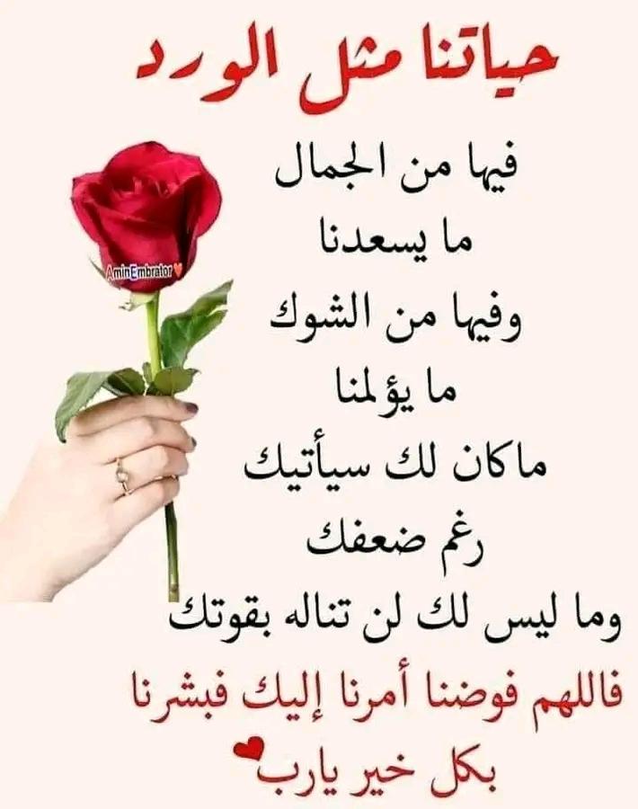 اسعد الله صباحكم بالخير والعافية